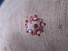 Små rød/hvide 51 - Dotmønstret opalkugle
